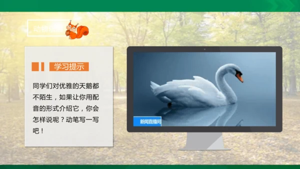 17 松鼠 第二课时课件