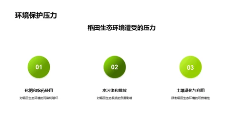 稻田生态的科学探究