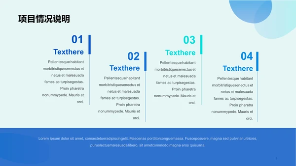 蓝色IT互联网简约扁平工作总结