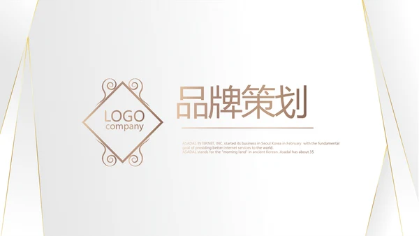 高端极简品牌策划工作总结汇报PPT