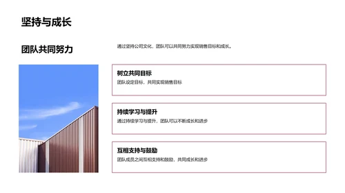 销售与公司文化实战讲座PPT模板