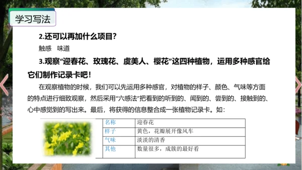 统编版三年级语文下册单元作文能力提升第一单元+习作：我的植物朋友（教学课件）