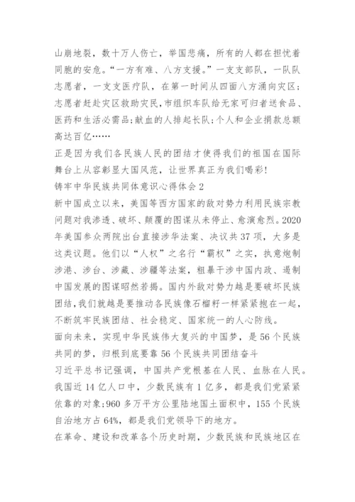 铸牢中华民族共同体意识心得体会.docx