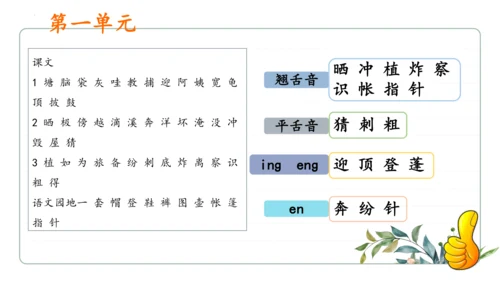 统编版语文二年级上册期中复习字词   课件