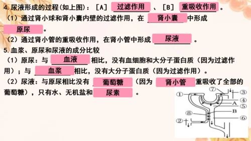 第四单元第五、六章复习课件(共33张PPT)人教版七年级下册