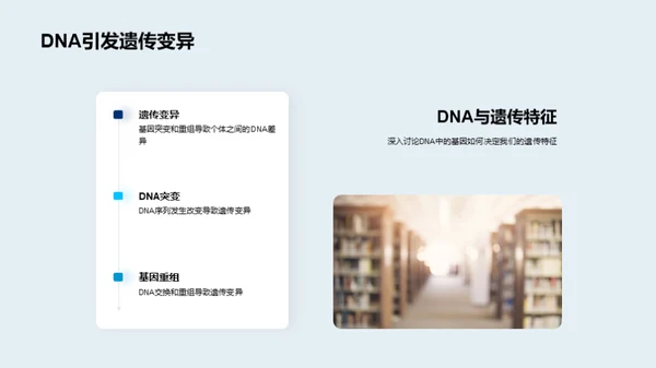 DNA解密之旅