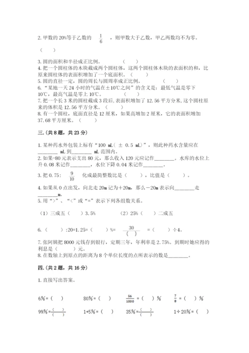 苏教版六年级数学小升初试卷（培优b卷）.docx