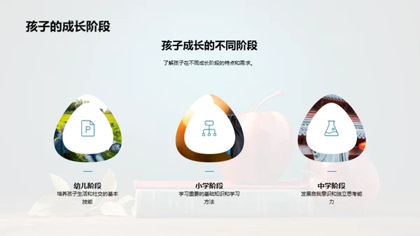 二年级学习全解析