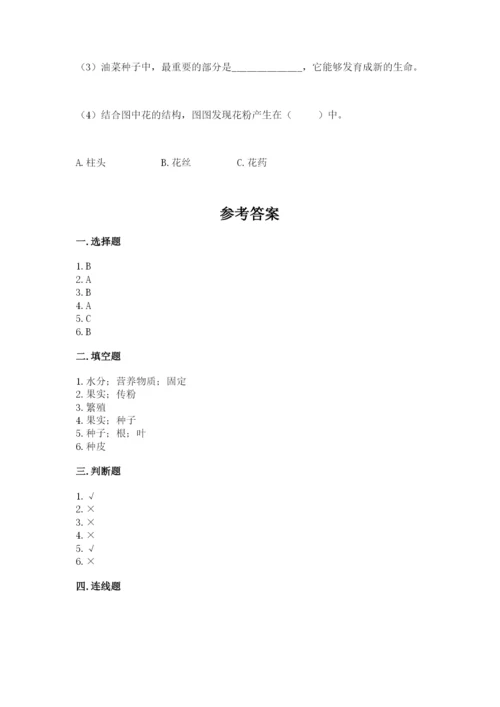 科学四年级下册第一单元《植物的生长变化》测试卷（完整版）.docx
