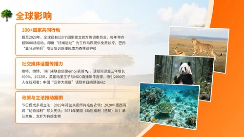 橙色世界动物日志愿者科普PPT模板
