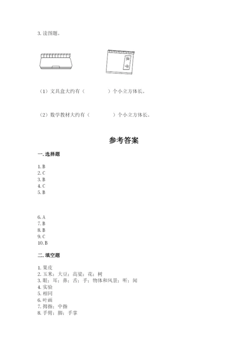 教科版一年级上册科学期末测试卷精品（巩固）.docx