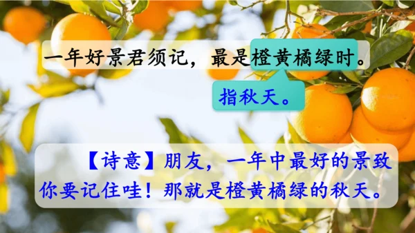 第4课 《古诗三首》  课件