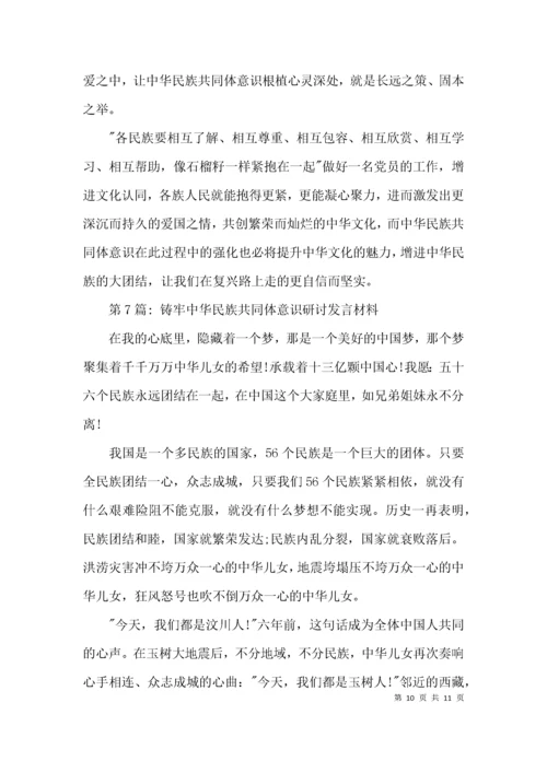 （精选）铸牢中华民族共同体意识研讨发言材料集合7篇.docx