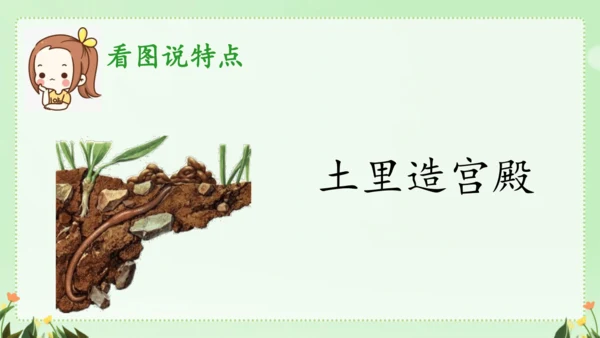 识字（二）5动物儿歌（课件）