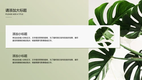 浅绿色极简光影小清新通用PPT演示模板