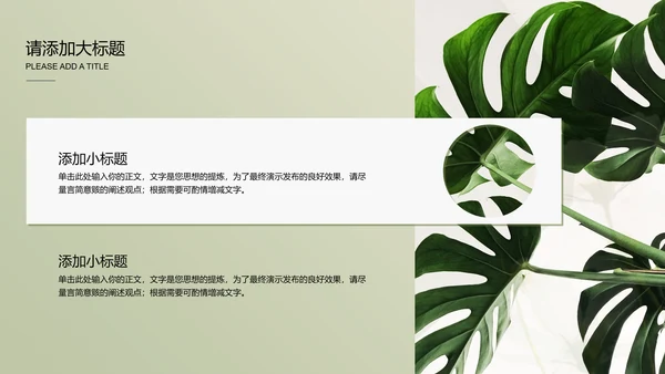 浅绿色极简光影小清新通用PPT演示模板