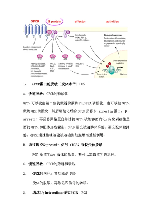 细胞生物学复习资料-General Mechanisms of Signal Transduction II