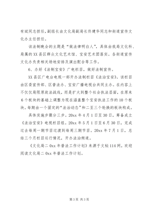 文化局普法工作计划 (8).docx