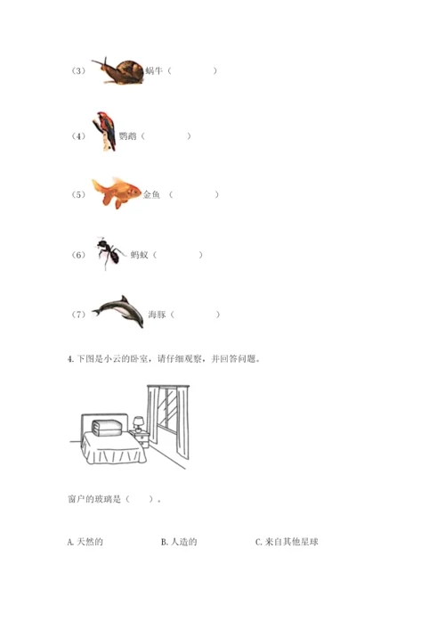 教科版科学二年级上册期末测试卷含答案（巩固）.docx