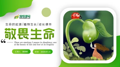 唯美绿色植物发芽植物生长敬畏生命PPT模板