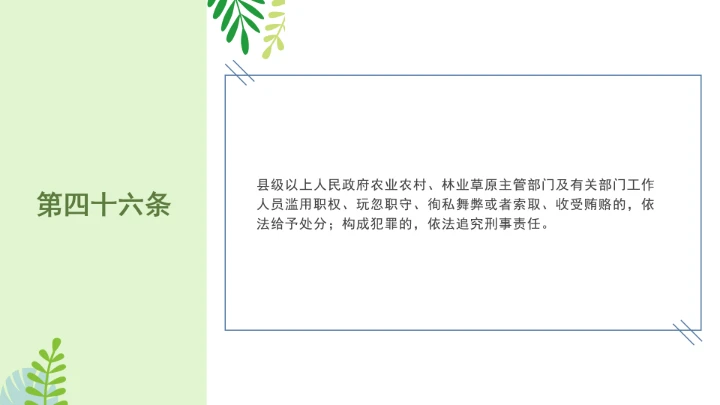 普法全文学习2025年4月新修订《中华人民共和国植物新品种保护条例》PPT课件