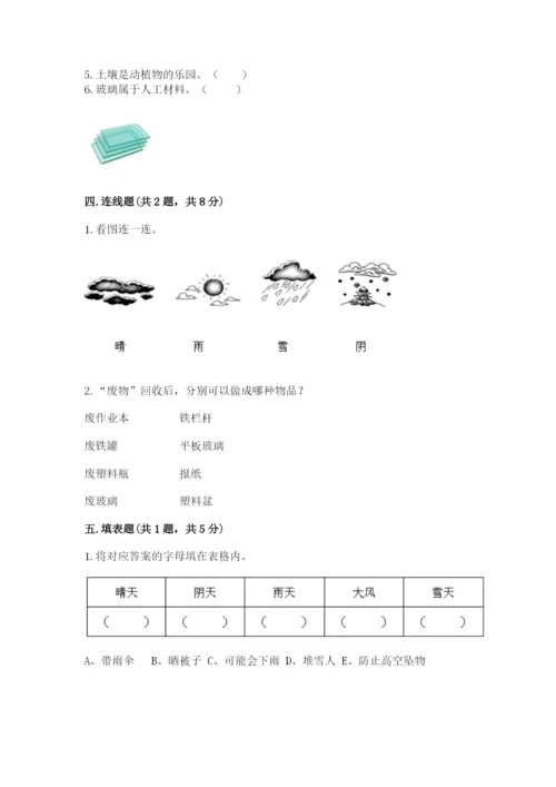 教科版小学二年级上册科学期末测试卷审定版.docx