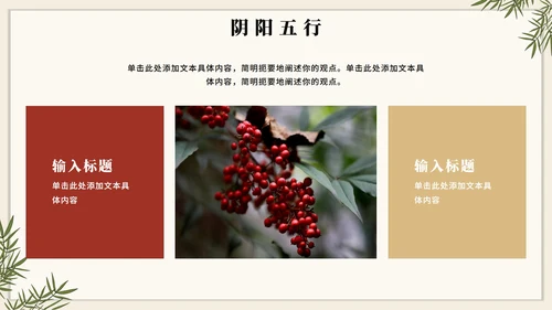 手绘插画中国风中医药传统文化介绍PPT模板