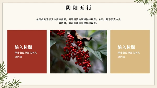手绘插画中国风中医药传统文化介绍PPT模板