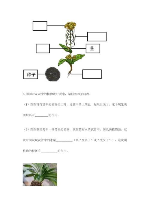 教科版四年级下册科学第一单元《植物的生长变化》测试卷（精选题）.docx