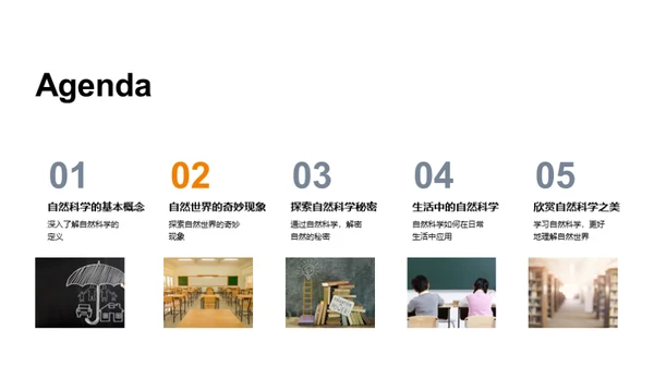 探索自然的奥秘