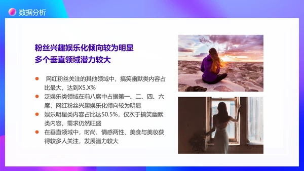 大数据时代下网红现象调查PPT模板