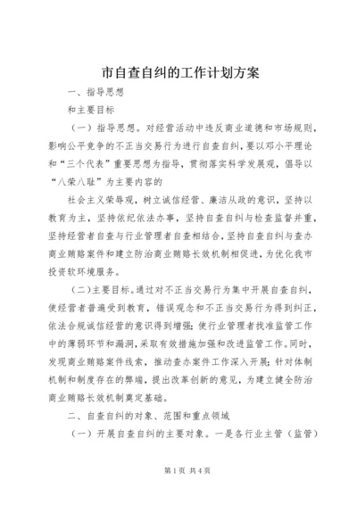 市自查自纠的工作计划方案 (2).docx