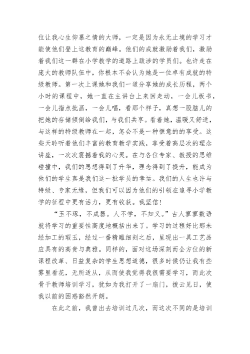 2023骨干教师培训心得体会范文.docx
