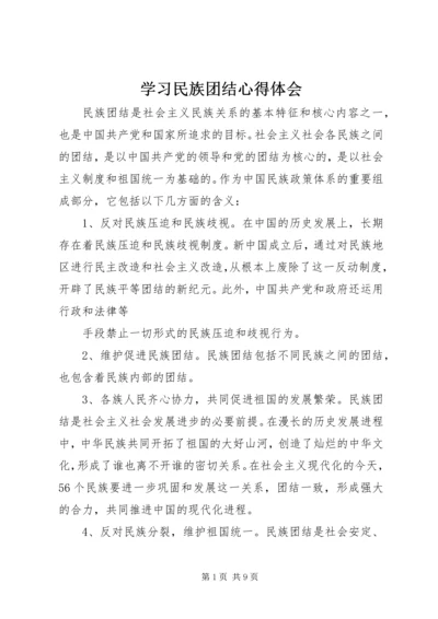 学习民族团结心得体会 (8).docx