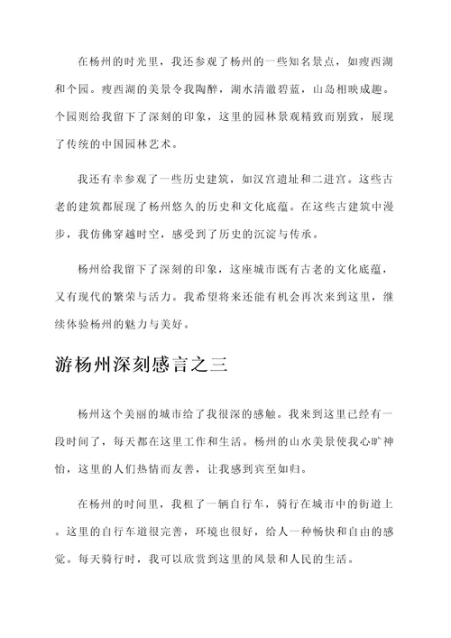 游杨州感言