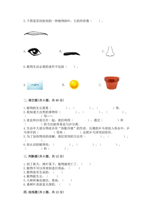 教科版科学一年级上册第一单元《植物》测试卷（考试直接用）.docx
