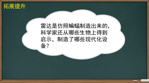 6 夜间飞行的秘密（课件）