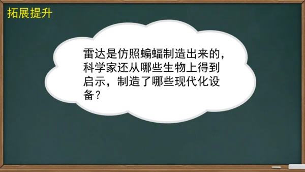 6 夜间飞行的秘密（课件）
