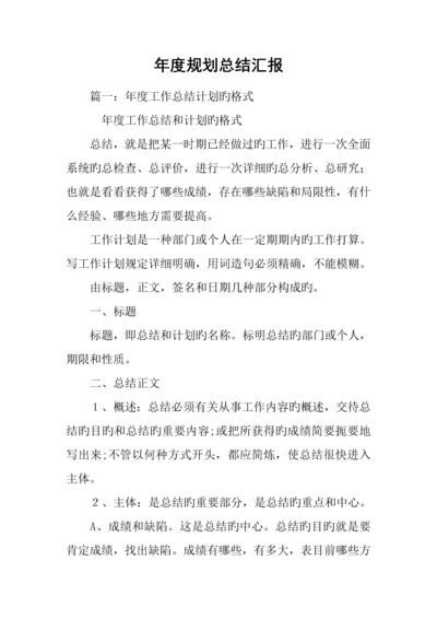 年度规划总结报告.docx