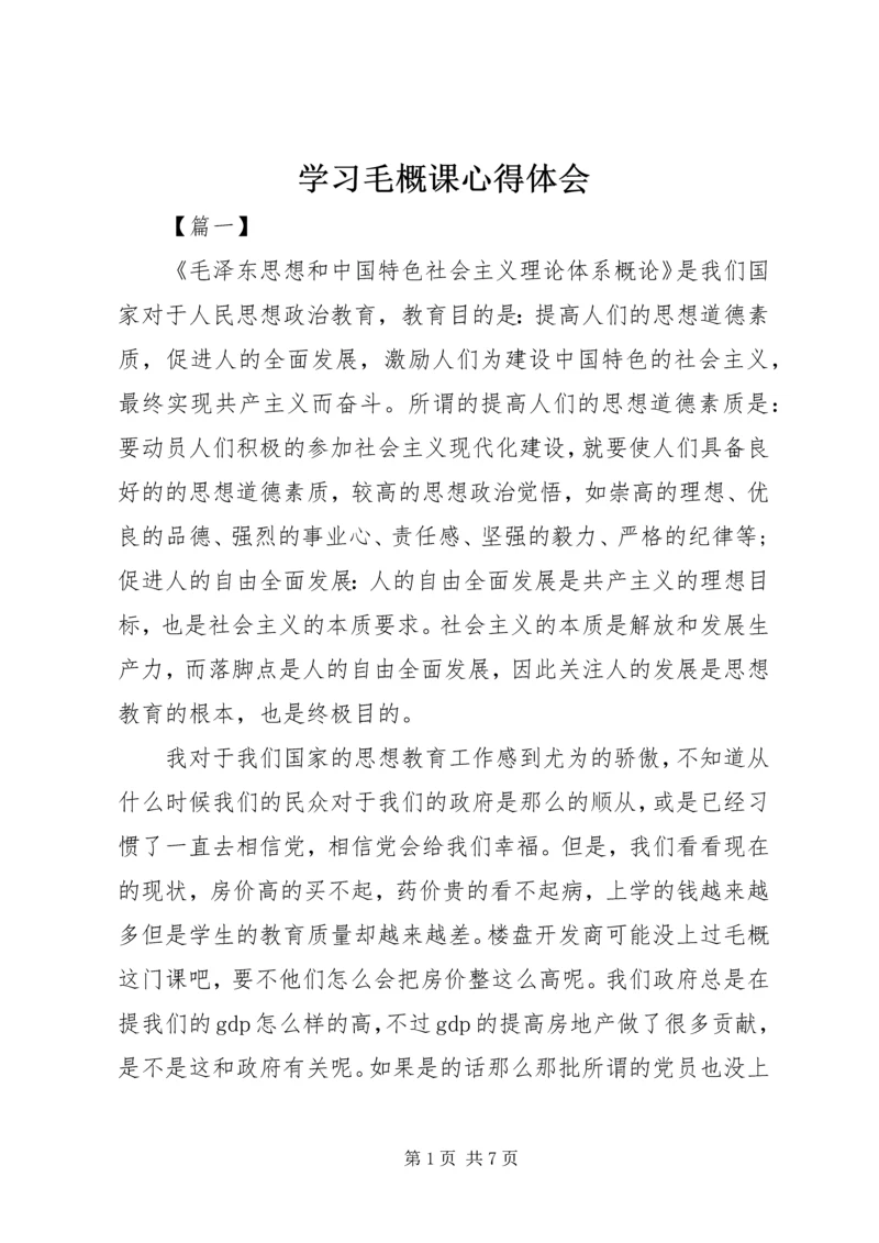 学习毛概课心得体会.docx