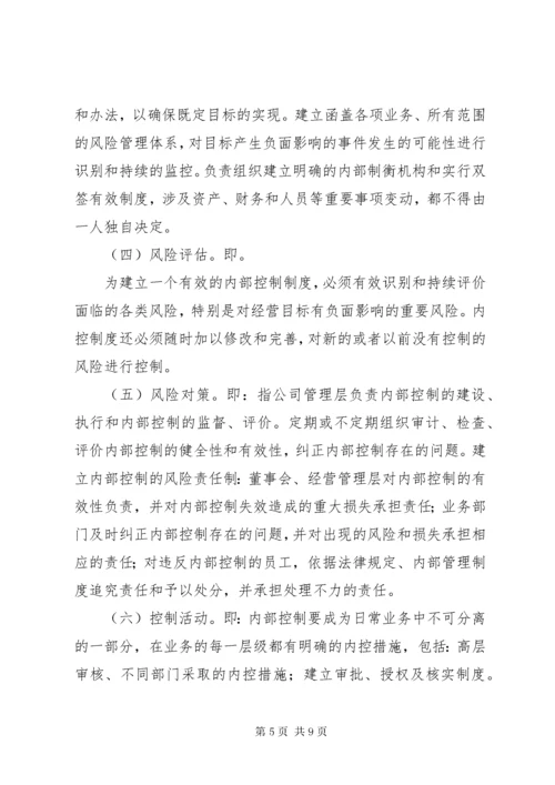 XX公司风险管理制度.docx