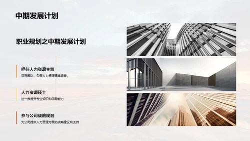 职业之路的探索与期望