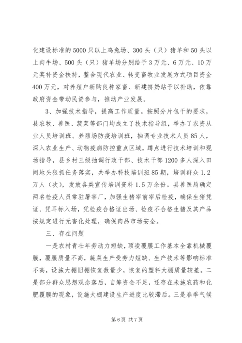 县春季农业生产工作进展情况汇报 (2).docx
