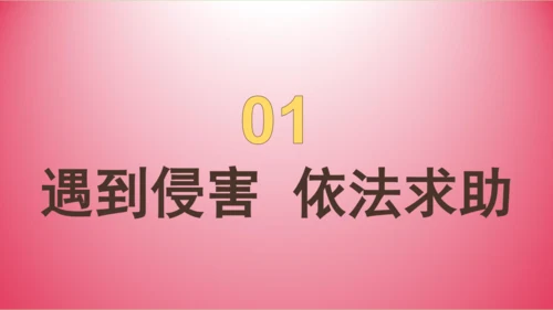 5.3 善用法律 课件