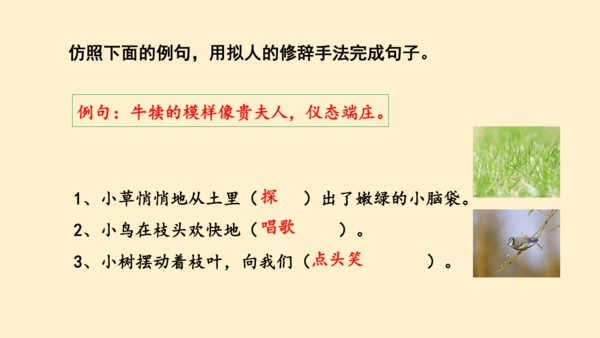 19牧场之国（课件）