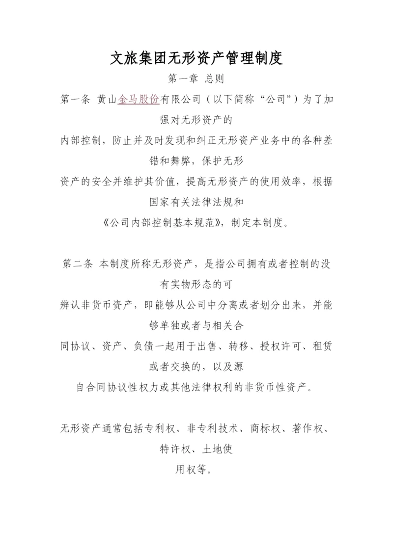 无形资产管理制度.docx