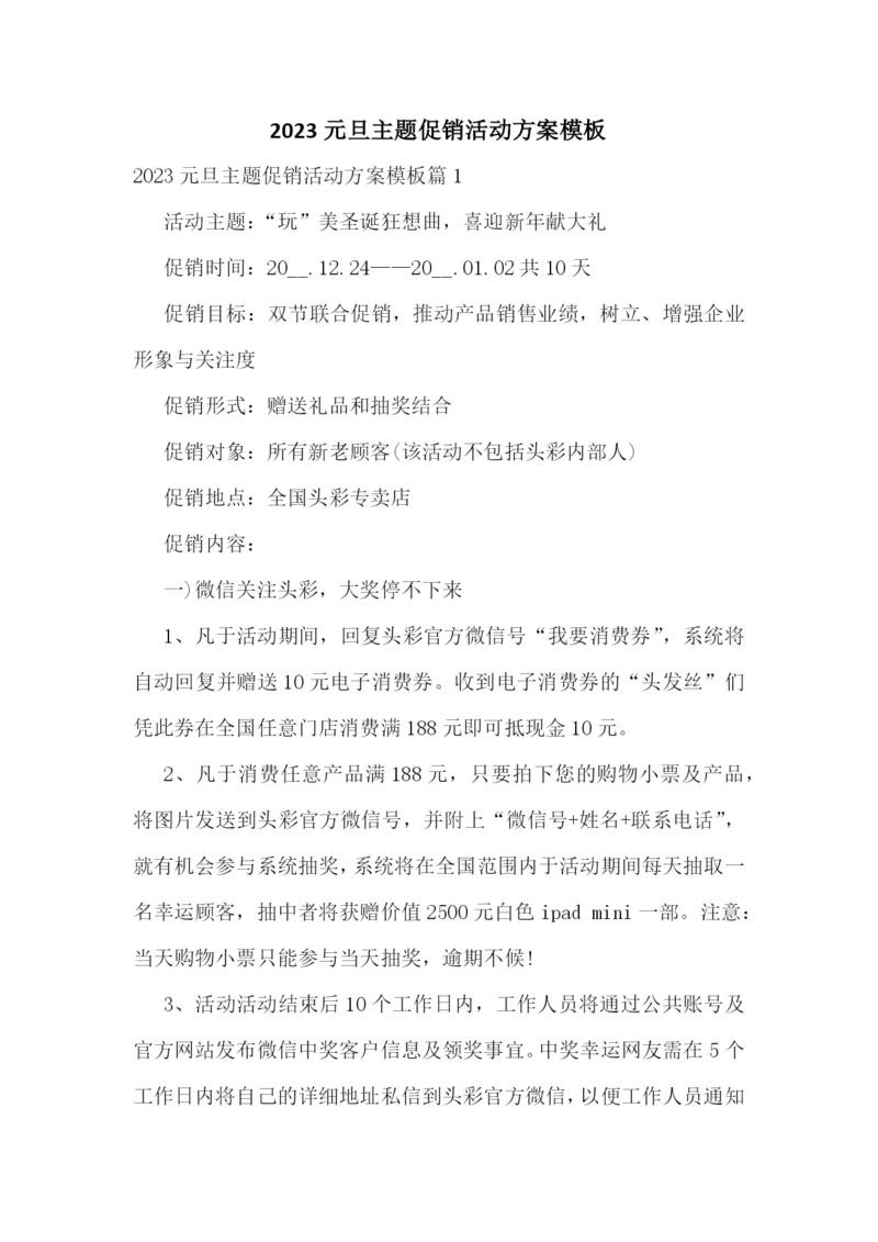 2023元旦主题促销活动方案模板.docx