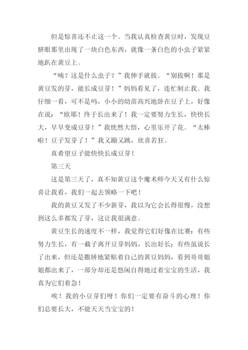 泡豆记作文0.docx