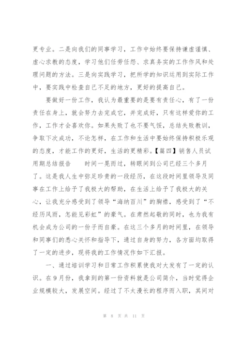 销售人员试用期总结报告.docx