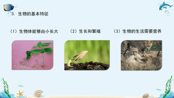 1.1《认识生物》复习课件(18张PPT)